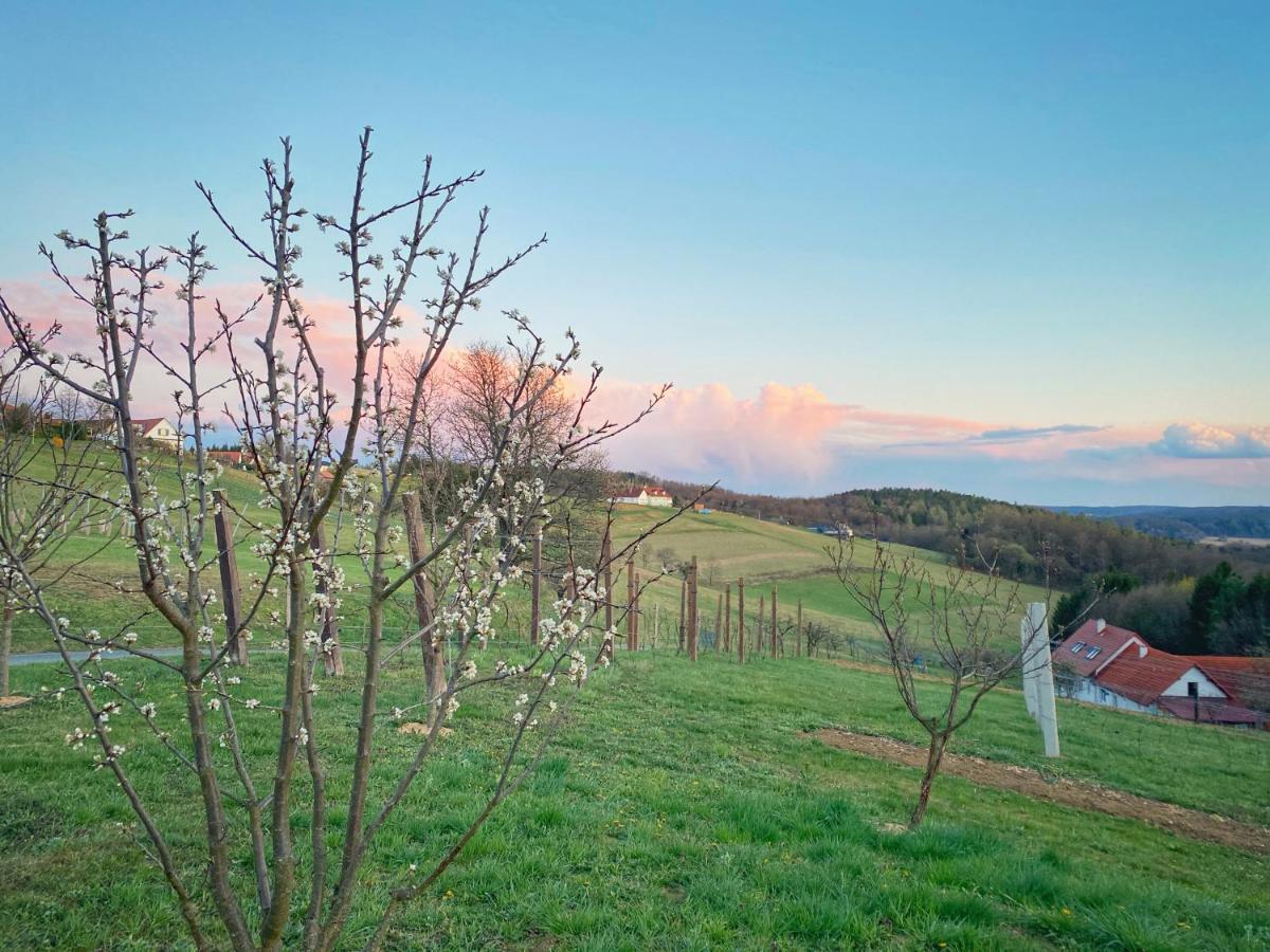 Landhaus Schaller Im Suedburgenland Maria Bild Eksteriør bilde